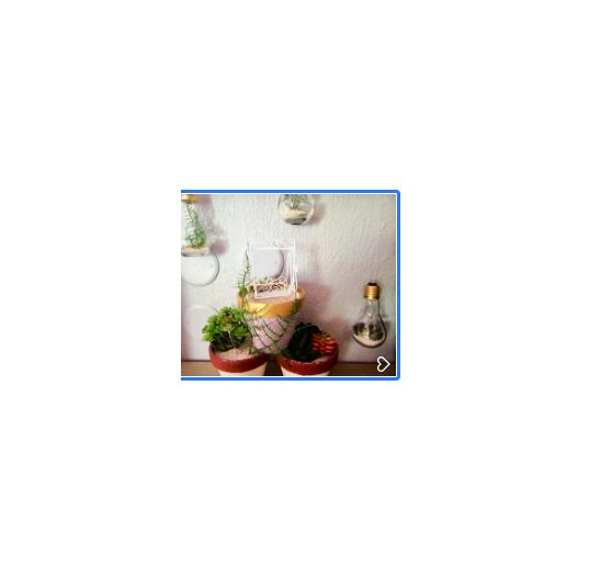 14_Clem_Décoration végétale