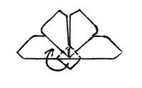 Papillon pliage étape 7