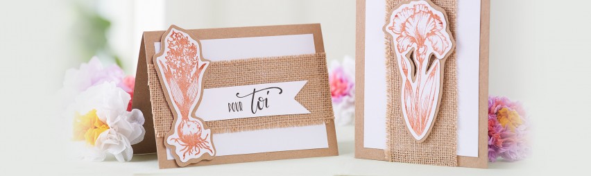 Création de cartes