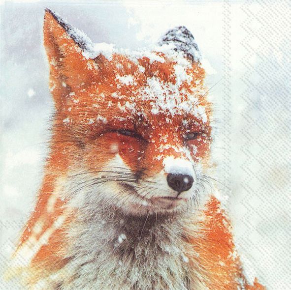 Serviette Renard Dans La Neige Loisirs Creatifs Vbs Hobby Service Customise an array of unique objects with décopatch® decorative paper. serviette renard dans la neige