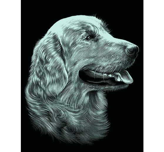 carte a gratter chien argent 11 x 18 cm loisirs creatifs vbs hobby service