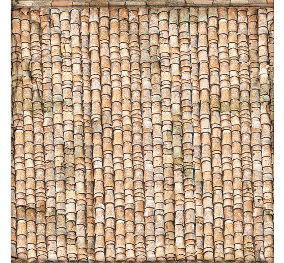 Bloc scrapbooking « House of Roses »