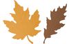 Gabarit d’estampe Sizzix Bigz Autumnal Leaves »