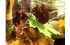 Mini-formes écureuils & feuilles « Stevie »