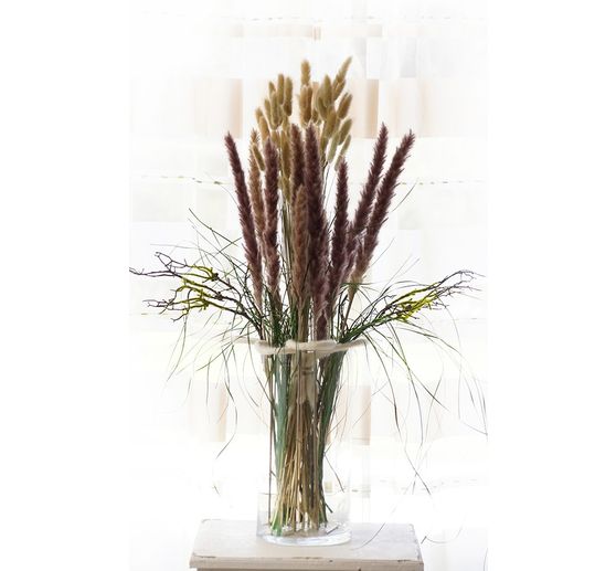 Lagurus