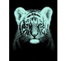 Kit De Grattage Mammut Motif Bébé Tigre | Image à Gratter Argenté 11x18 Cm | Pour Enfants à Partir De 8 Ans | Activité Créative