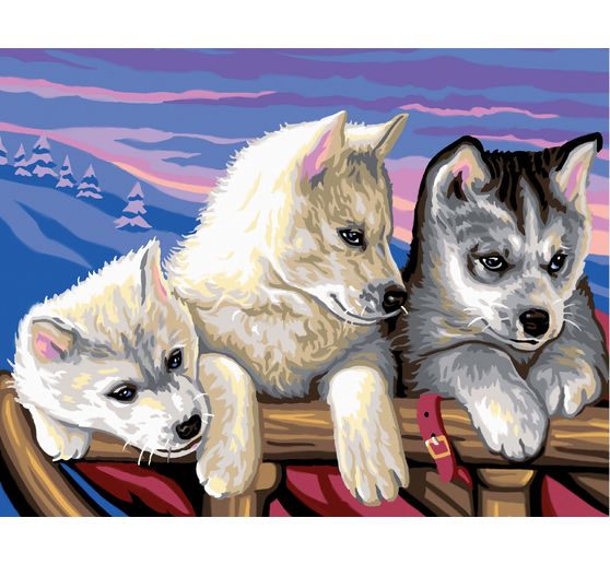 Peinture au numéro « Huskies »