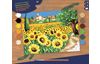 Painting by numbers "Sunflowers"