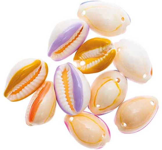 Perles coquillages à 2 trous