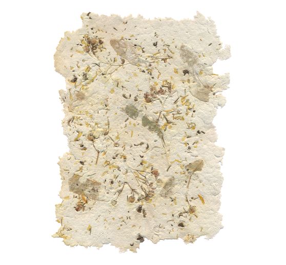 Plaques de cellulose blanche