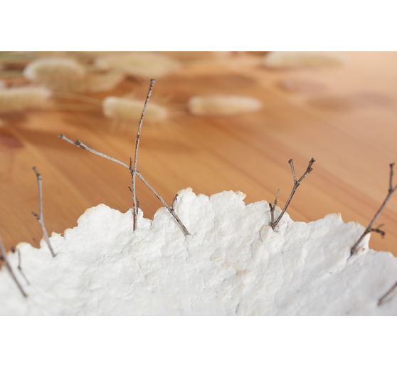Cellulose d''eucalyptus, fibres longues