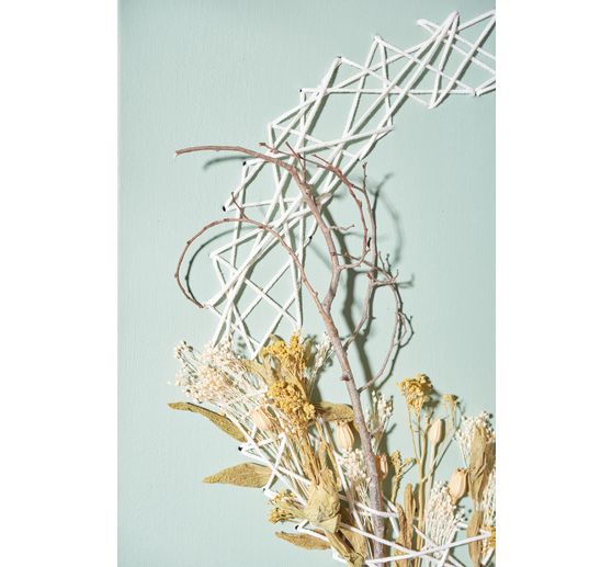 Broom bloom