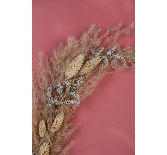Fleurs séchées « Phalaris »