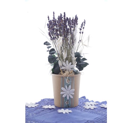 Lavande bleue naturelle