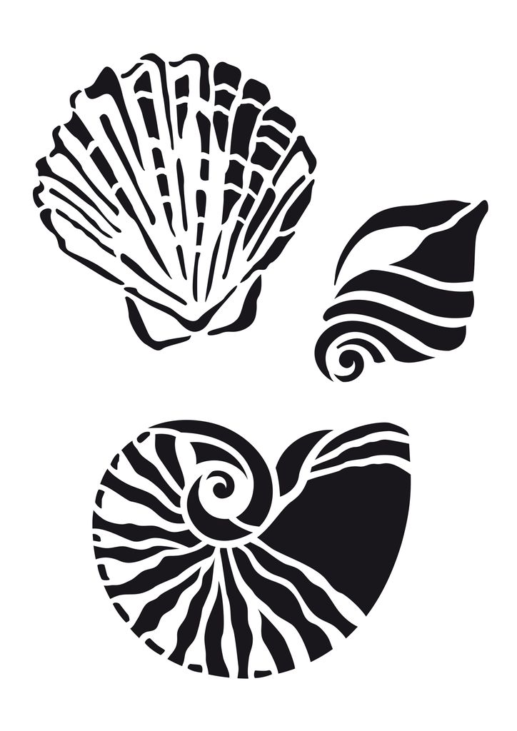 Différentes Couleurs/Designs Disponible Sea Shell Vinyle Autocollant 