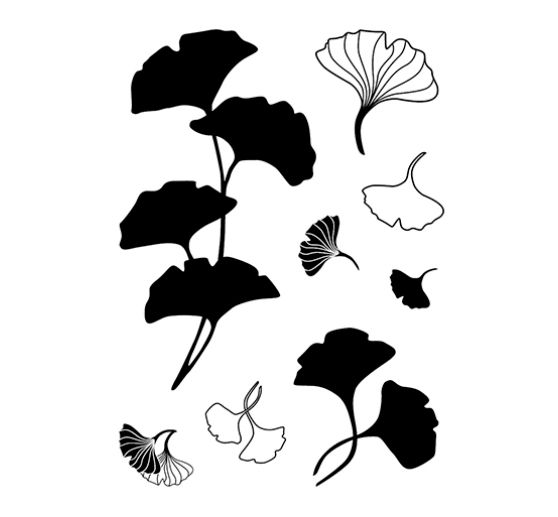 Tampons Clear Stamps « Gingko »