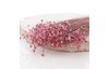 Glixia rose