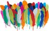 Assortiment de plumes d'indien