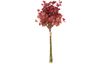 Bouquet d’eucalyptus « Eunice »
