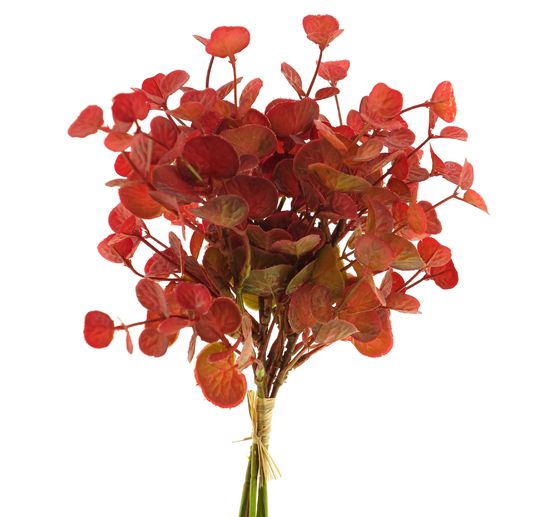 Bouquet d’eucalyptus « Eunice »