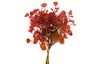 Bouquet d’eucalyptus « Eunice »