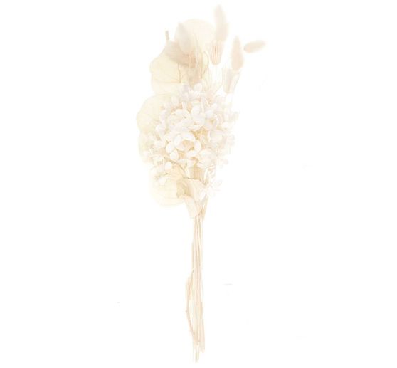 Set fleurs séchées Rico Design « Naturel Blanc »