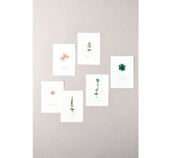 Set fleurs pressées Rico Design « Orange Turquoise »