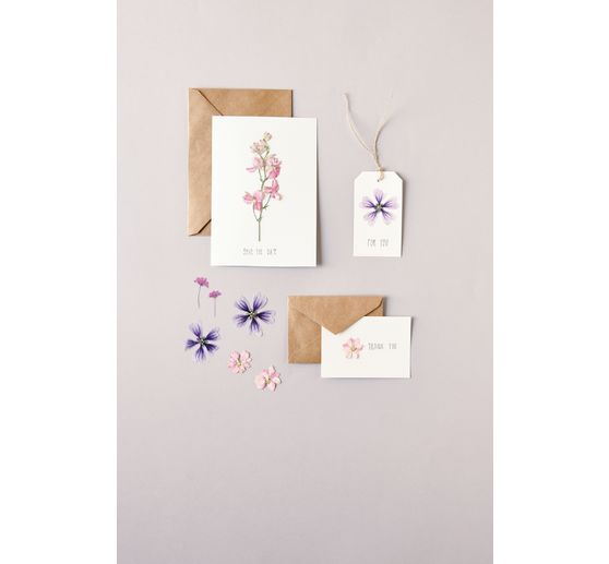 Set fleurs pressées Rico Design « Orange Turquoise »