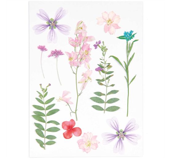 Rico Design Mix Set pressed flowers "Pink Violet"