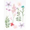 Set fleurs pressées Rico Design « Rose Violine »