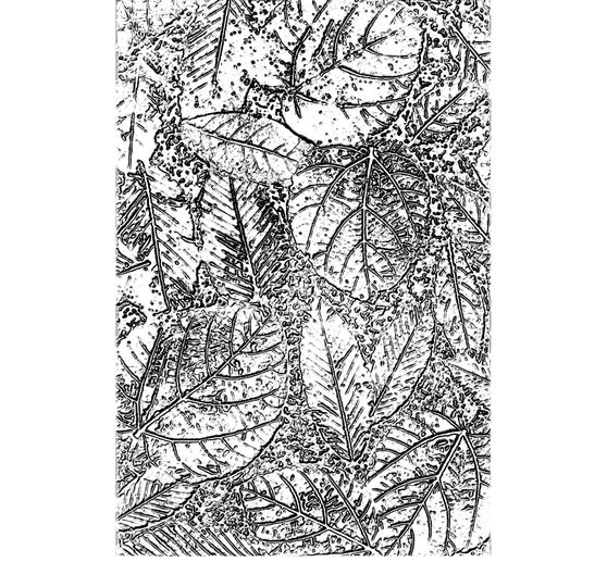 Gabarit d’embossage Sizzix 3D « Foliage by Tim Holtz »