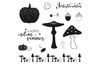 Tampons Clear Stamps « Lueurs automnales »