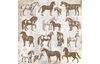 Bloc de papier scrapbooking « Horses »