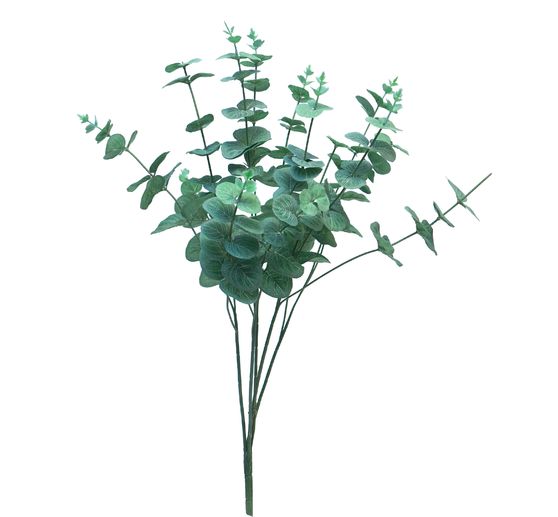 Bouquet d'eucalyptus « Cinera »