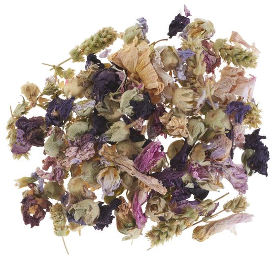 Dried flowers set "Purple"