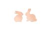 Pièces à disperser « Lapin aimanté »