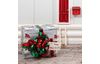 Set créatif porte de lutins « Elf Door »