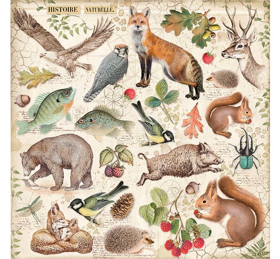Bloc scrapbooking « Forest »
