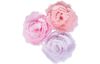 Gabarit d'estampe Sizzix Bigz « Cabbage Rose »