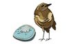 Gabarit d'estampe Sizzix Thinlits « Bird & Egg Colorize by Tim Holtz »