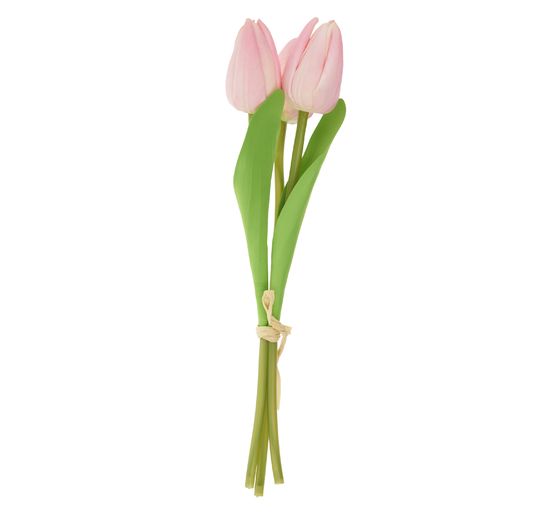 VBS Tulipe "Tammie