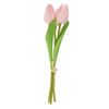 VBS Tulip "Tammie Pink