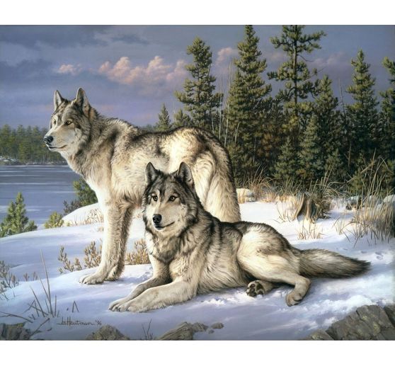 Peinture au numéro « Couple de loups »