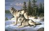 Peinture au numéro « Couple de loups »