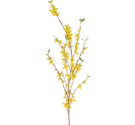 Branche de forsythia VBS « Fotini », env. L 100 cm