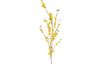 Branche de forsythia VBS « Fotini », env. L 100 cm