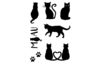 Tampons Clear Stamps « Chats »