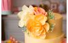 Gabarit d’estampe Sizzix Thinlits « Gardenia » 