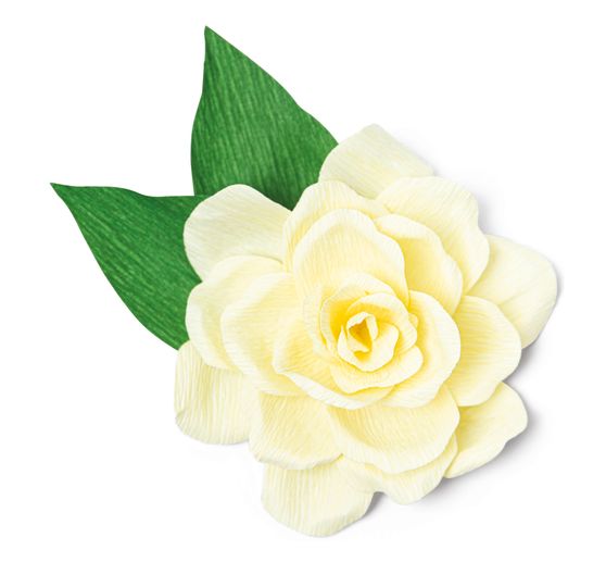 Gabarit d’estampe Sizzix Thinlits « Gardenia » 