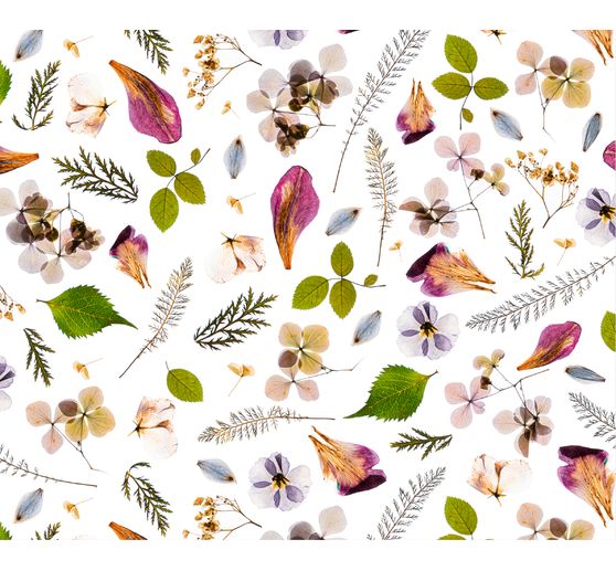 Papier cartonné à motifs « Fleurs séchées » 